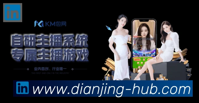 互动解说服务